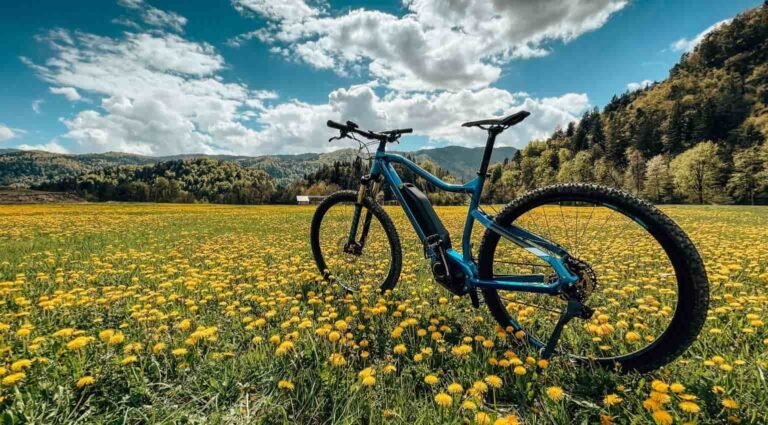 An electric bike against a nice background